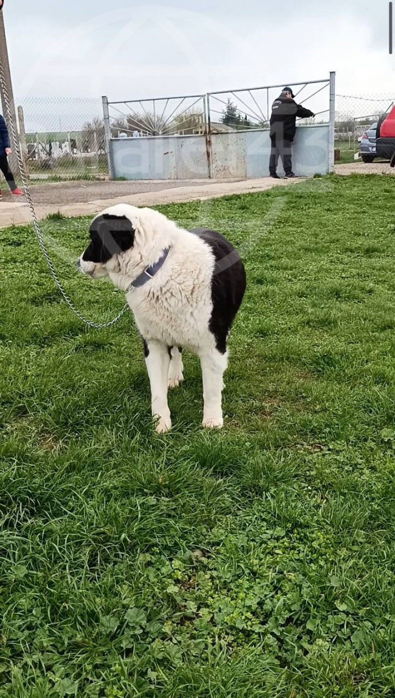 , 
