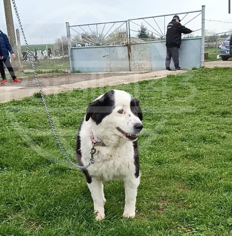 , 