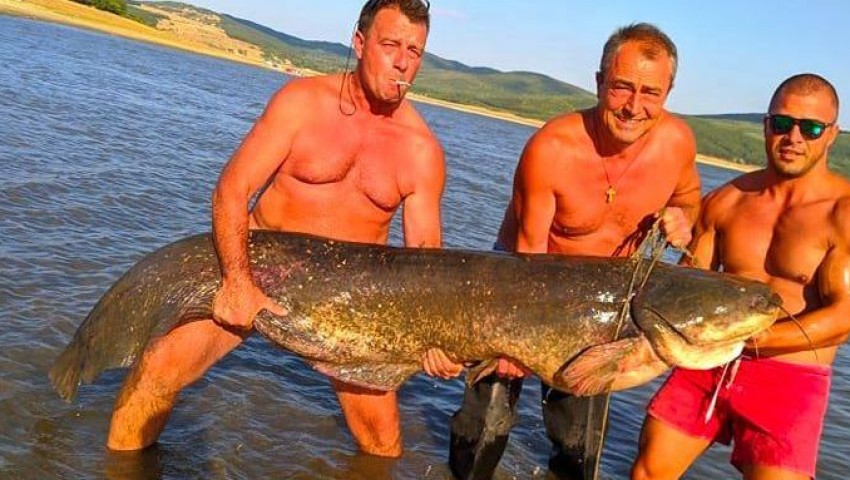 Рибари уловиха истинско чудовище в язовир 
