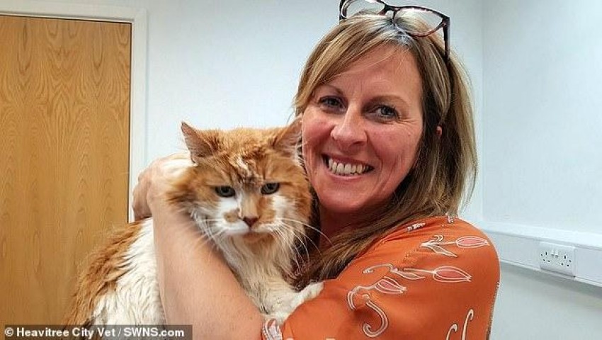 Почина най-старата котка в света