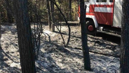 Потушиха пожара в гората край село Българаново, община Омуртаг