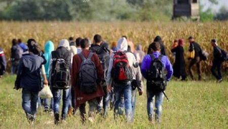 Заловиха нелегални мигранти, опитващи да преминат през българската граница