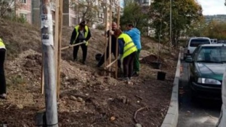 Засадиха 60 дръвчета във варненския район „Възраждане“