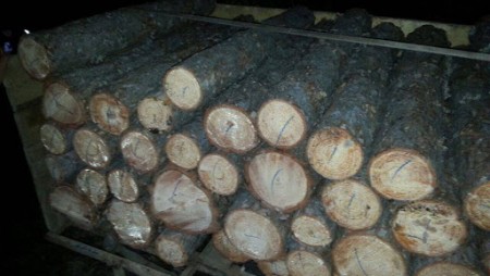 Три каруци с 12 кубика дърва заловиха варненските горски за седмица от бракониерски набези