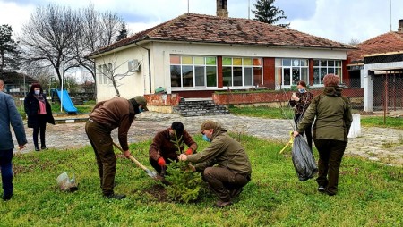 По случай Седмицата на гората залесиха фиданки в с. Цонево