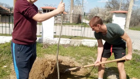 Над 1000 нови фиданки ще бъдат засадени в община Долни чифлик
