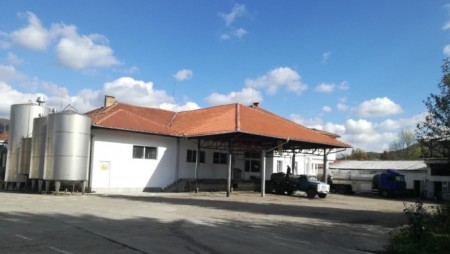 Близо 38 тона кашкавал за държавния резерв липсват от мандрата в град Елена