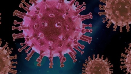 Над 250 милиона са заразените с COVID-19 по света