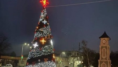 На 7 декември ще грейне елхата в Дългопол