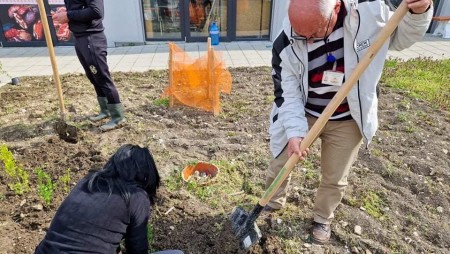 Еко акция в Девня: По повод Деня на Земята засадиха 140 нови дръвчета