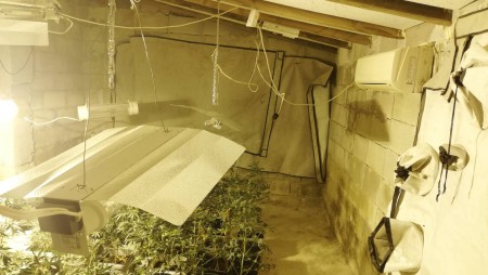 Полицията разкри поредна оранжерия за наркотици край Варна