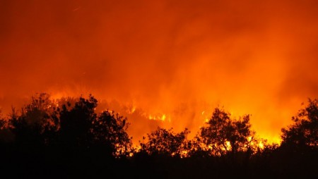 Заради огромен пожар по пътя между Варна и Бургас отклоняват движението към Айтоския проход