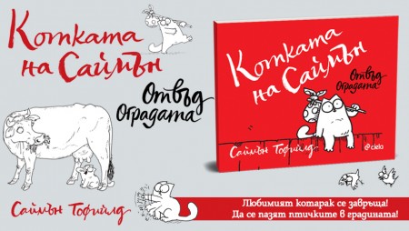 Лесно ли е да се грижиш за котка?
