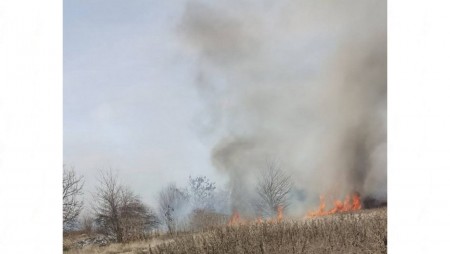 12 дка иглолистна гора е обгоряла след пожар край Мъглиж