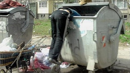 В контейнер бяха открити труповете на две домашни котки