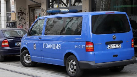 Хванаха шофьор на мерцедес с 8 мигранти до двореца „Врана“