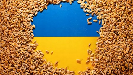 Украйна e изнесла зърно в размер на 38,8 млн. тона