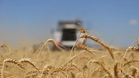 Русия счупи тригодишен рекорд за износ на зърно