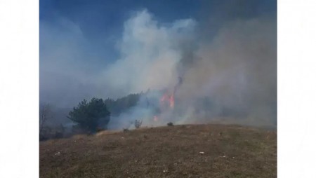 Над 20 горски пожара са регистрирани във Варненско през миналата година