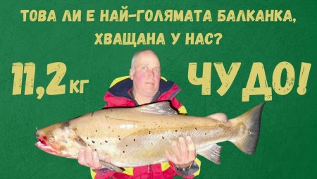 В язовир в Родопите, оказва се, плуват огромни създания