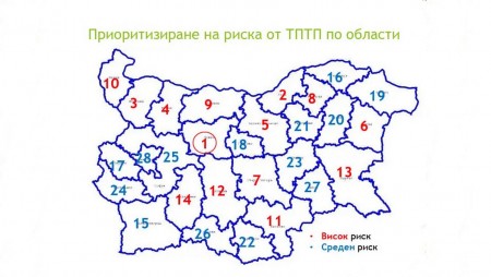 Варна е сред областите с най-голям риск да загинеш на пътя