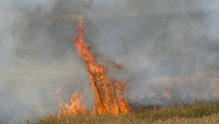 От април досега във Варненско е имало 75 пожара в сухи треви