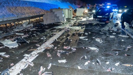 Стотици пъстърви намериха смъртта си при катастрофа в Германия