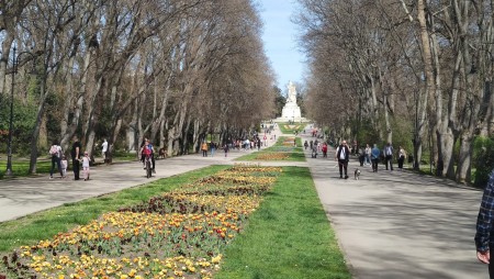 ГЕРБ – Варна ще сезира прокуратурата във връзка с движението на автомобили по алеите в Морската градина