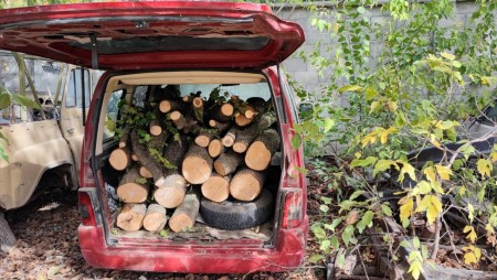 Горските конфискували един автомобил и 13 каруци