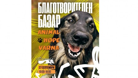 Организират благотворителен базар в подкрепа на Animal Hope Varna