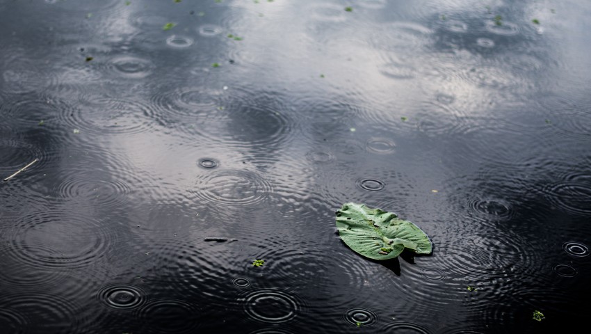Днес ще е дъждовно, възможни са и гръмотевици