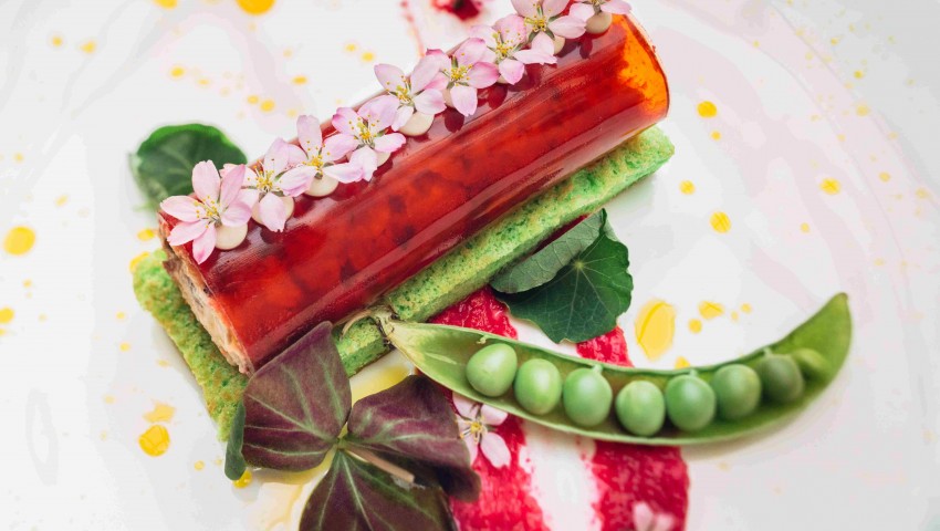 VII издание на Food Innovation Exhibition събра креативността и предприемаческия дух на студентите от Института по кулинарни изкуства