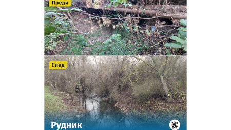 Осем рискови дерета в област Варна вече са почистени