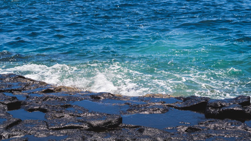 Тяло на мъж изплува oт морето край Варна