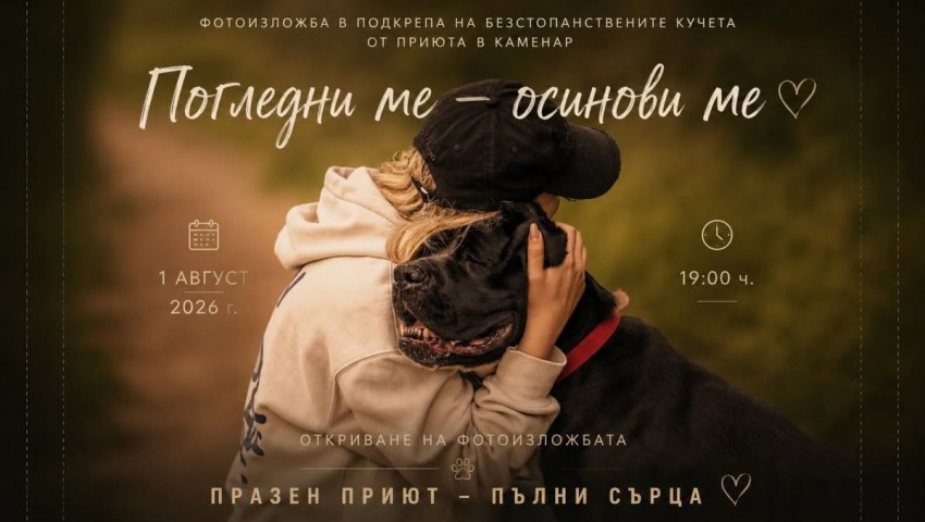 Фотоизложбата „Погледни ме - осинови ме“ представя историите на кучетата от приюта в Каменар