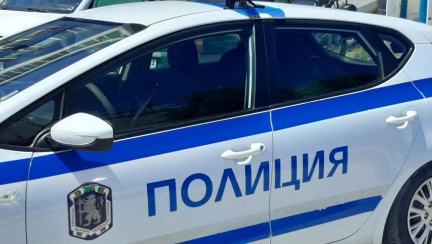 Мотоциклетист катастрофира заради животно на пътя Варна - Белослав